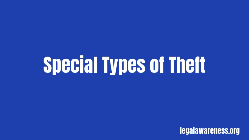 Special Types of Theft