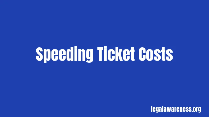 Speeding Ticket Costs