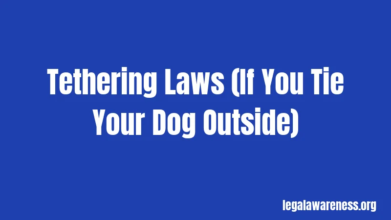 Tethering Laws (If You Tie Your Dog Outside)