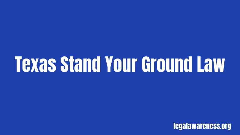 Texas Stand Your Ground Law