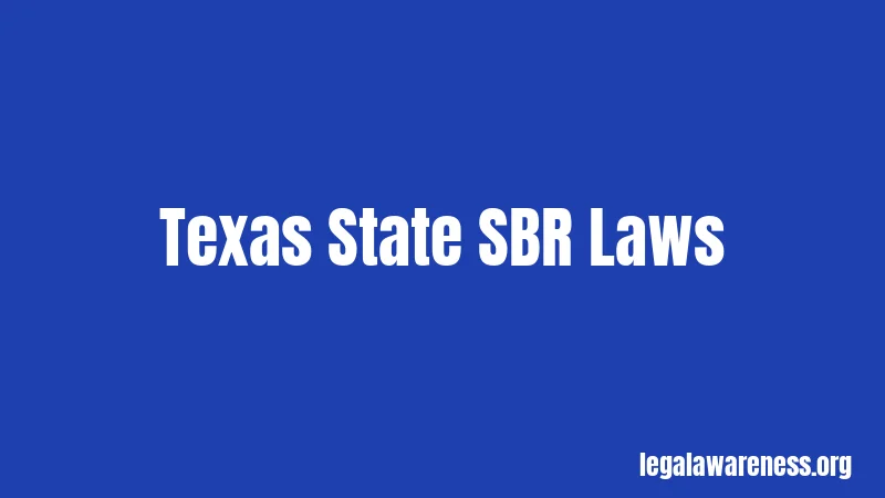 Texas State SBR Laws