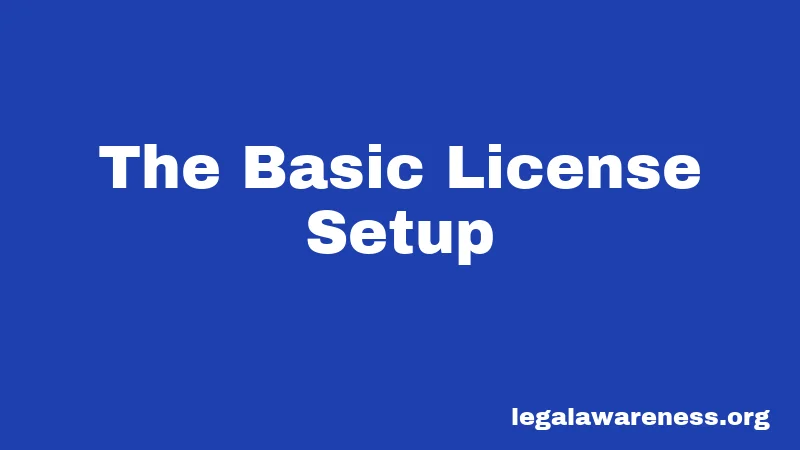 The Basic License Setup