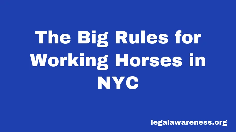 The Big Rules for Working Horses in NYC