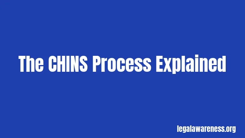 The CHINS Process Explained
