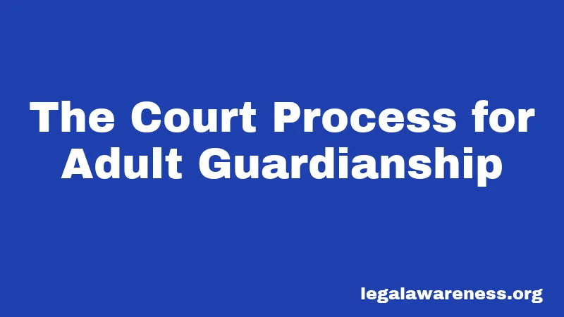 The Court Process for Adult Guardianship
