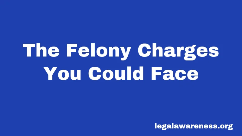 The Felony Charges You Could Face