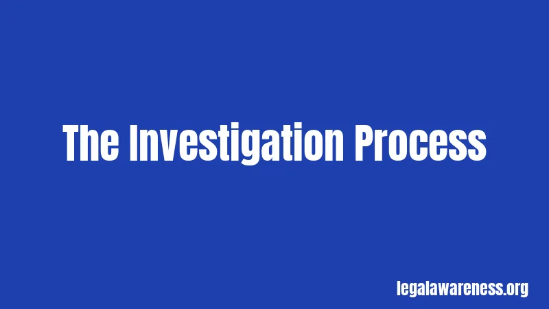 The Investigation Process