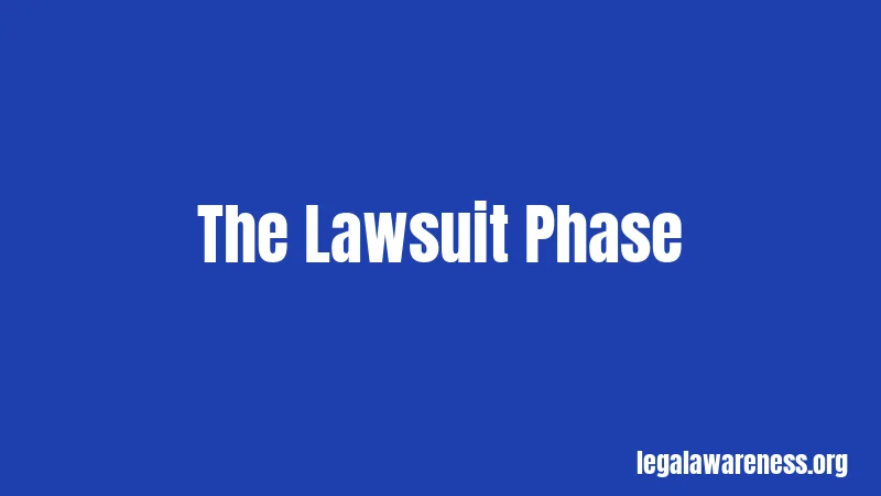 The Lawsuit Phase