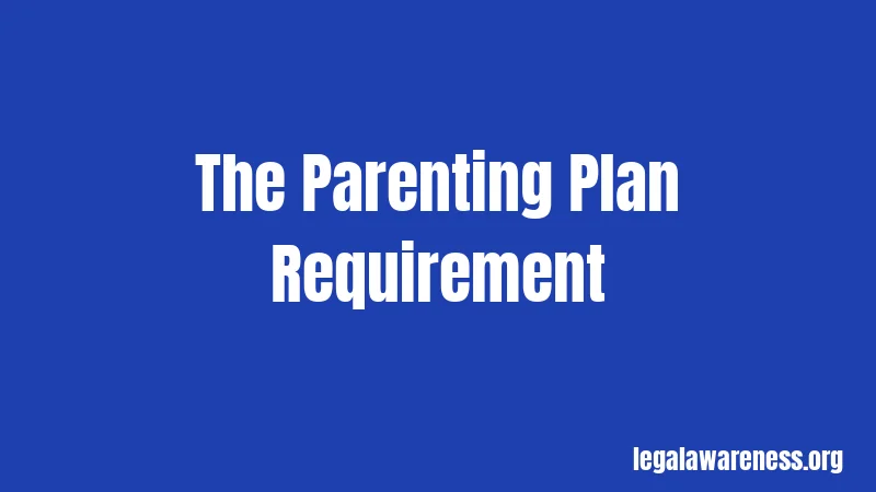 The Parenting Plan Requirement