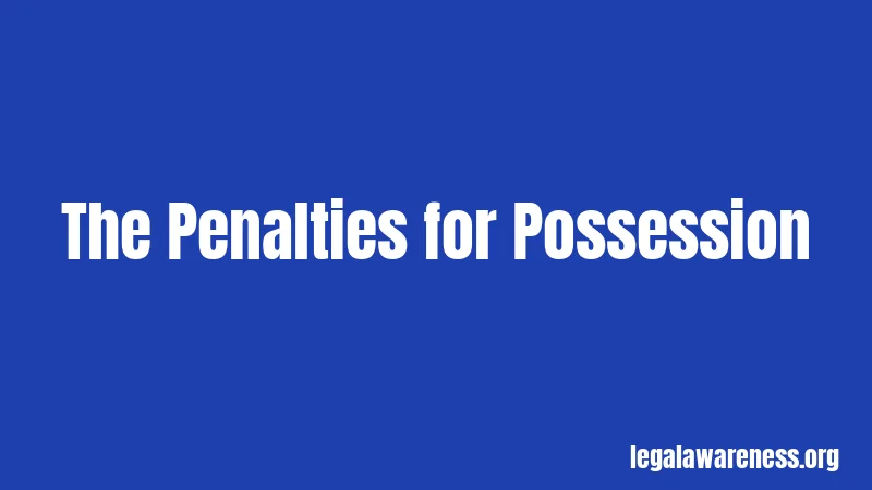 The Penalties for Possession