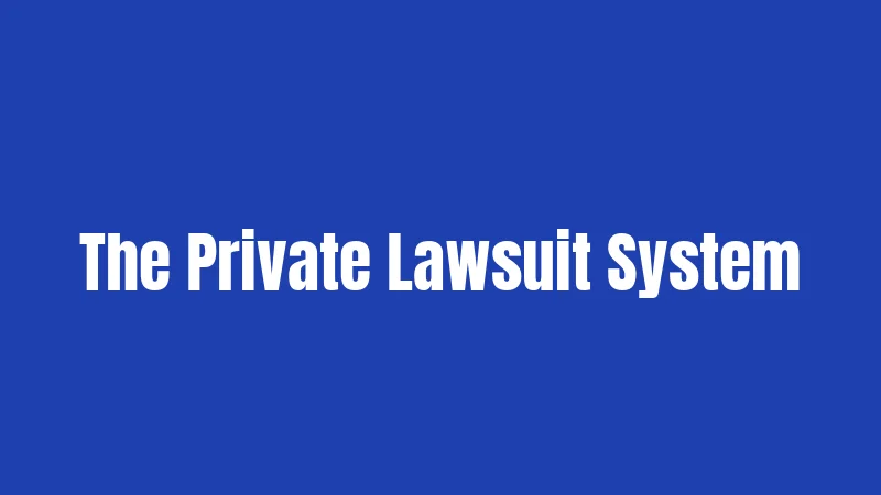 The Private Lawsuit System