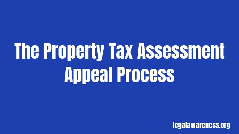 The Property Tax Assessment Appeal Process