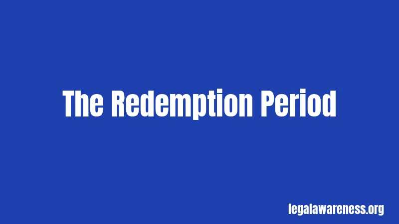 The Redemption Period