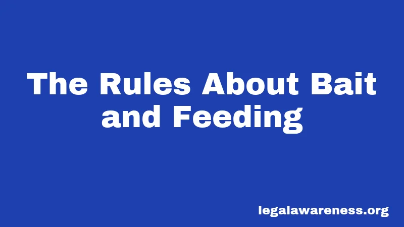 The Rules About Bait and Feeding