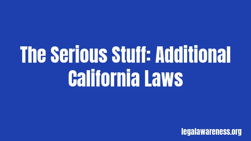The Serious Stuff: Additional California Laws