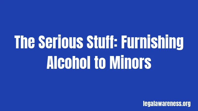 The Serious Stuff: Furnishing Alcohol to Minors