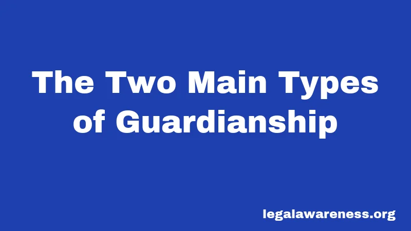 The Two Main Types of Guardianship