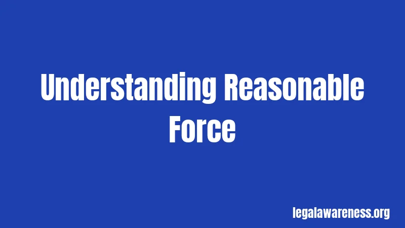 Understanding Reasonable Force