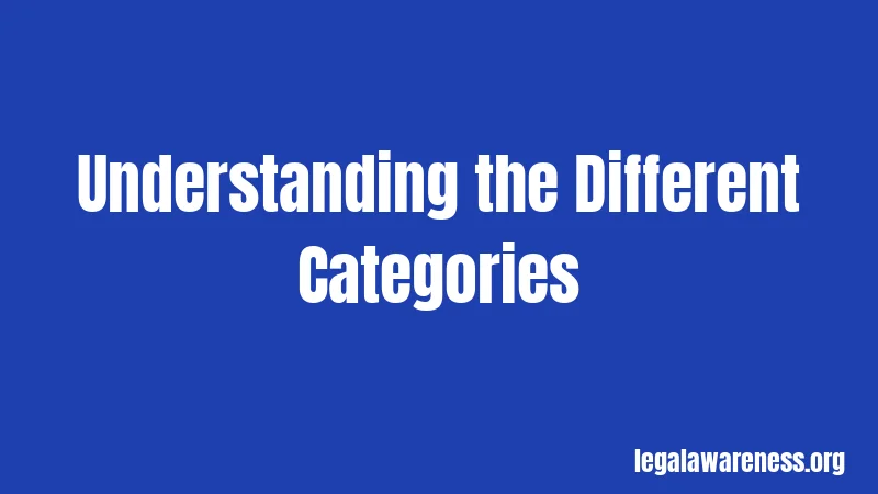 Understanding the Different Categories