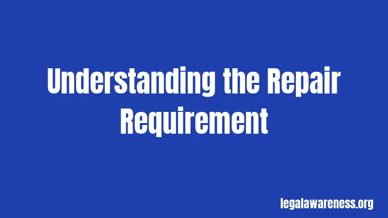 Understanding the Repair Requirement