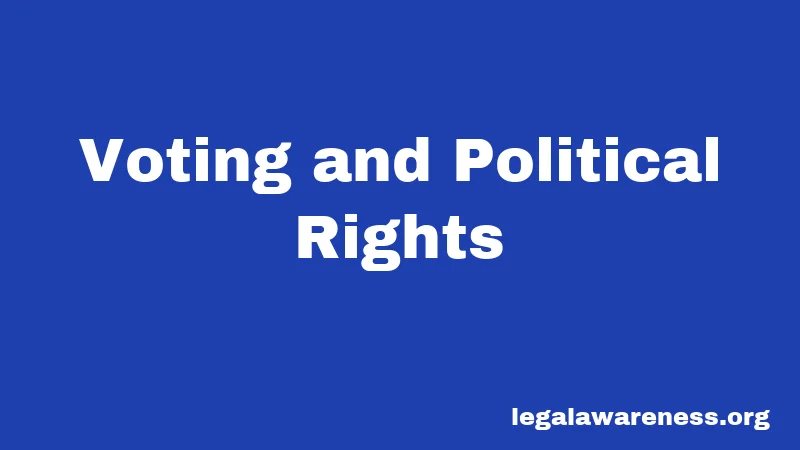 Voting and Political Rights
