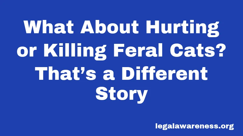 What About Hurting or Killing Feral Cats? That’s a Different Story