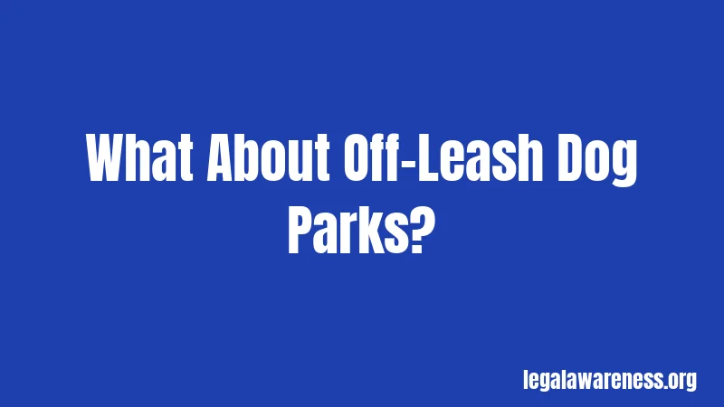 What About Off-Leash Dog Parks?