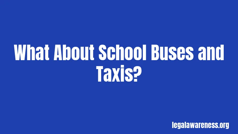 What About School Buses and Taxis?