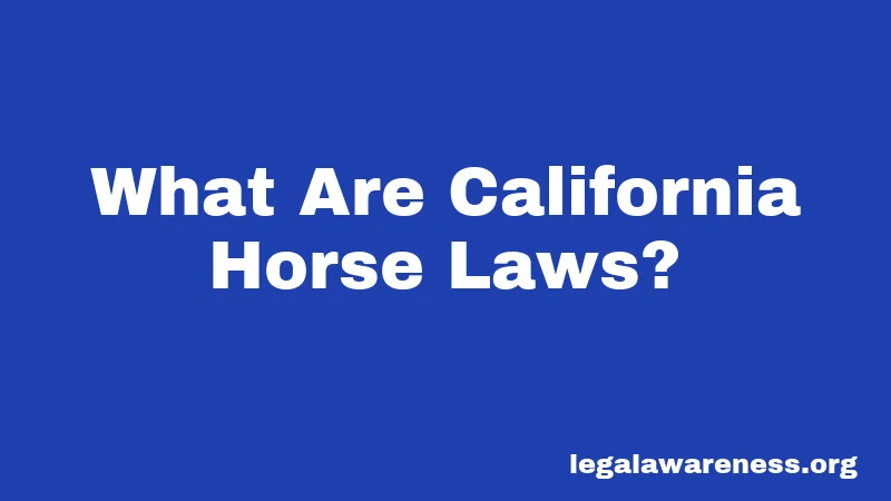 Horse Laws in California (2026): What Every Owner Should Know 1 What Are California Horse Laws?