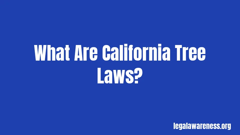 What Are California Tree Laws?