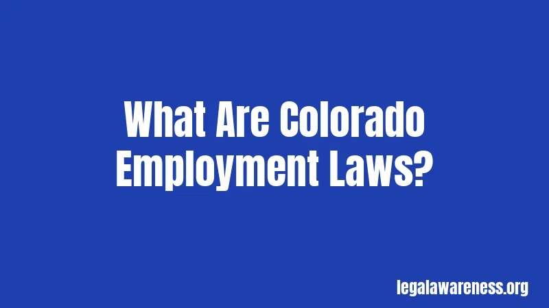 What Are Colorado Employment Laws?