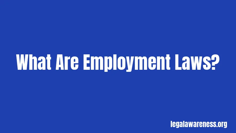 What Are Employment Laws?