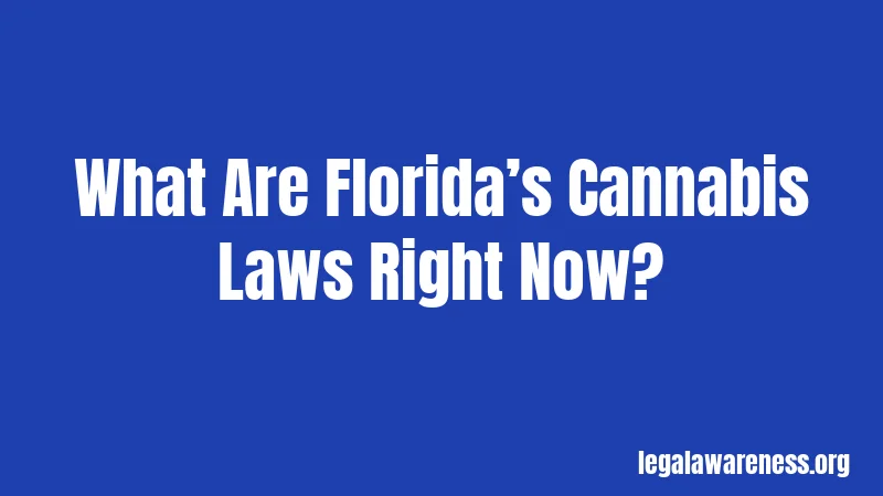 What Are Florida’s Cannabis Laws Right Now?