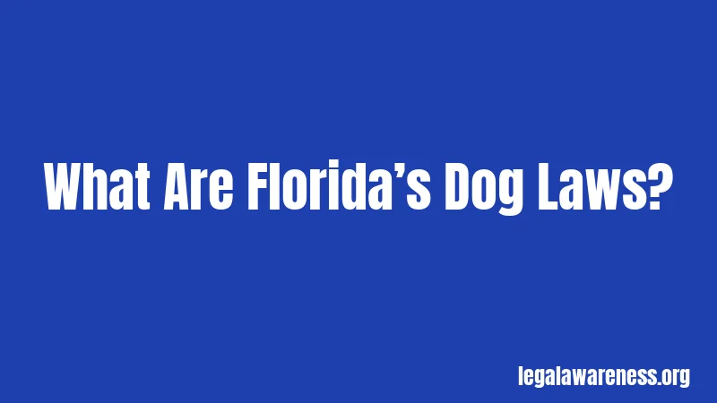 What Are Florida’s Dog Laws?