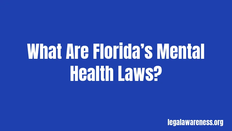 What Are Florida’s Mental Health Laws?