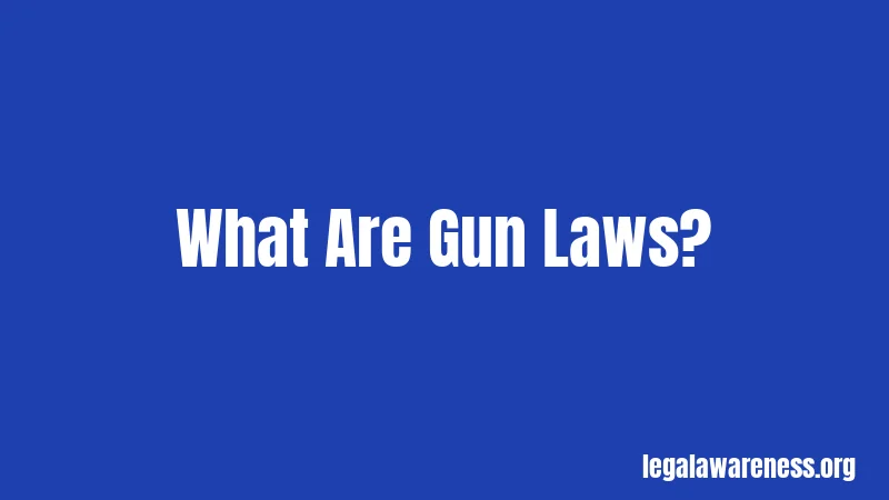 What Are Gun Laws?