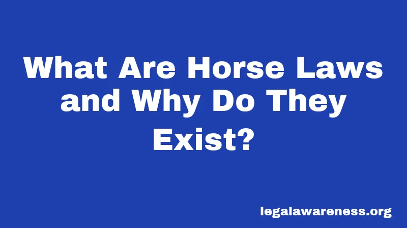 What Are Horse Laws and Why Do They Exist?