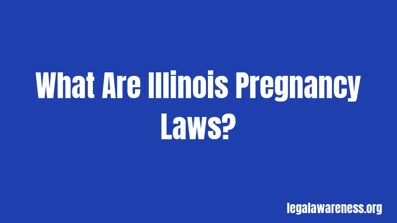 Illinois Pregnancy Laws in 2026: What Every Pregnant Person Needs to Know 1 What Are Illinois Pregnancy Laws?