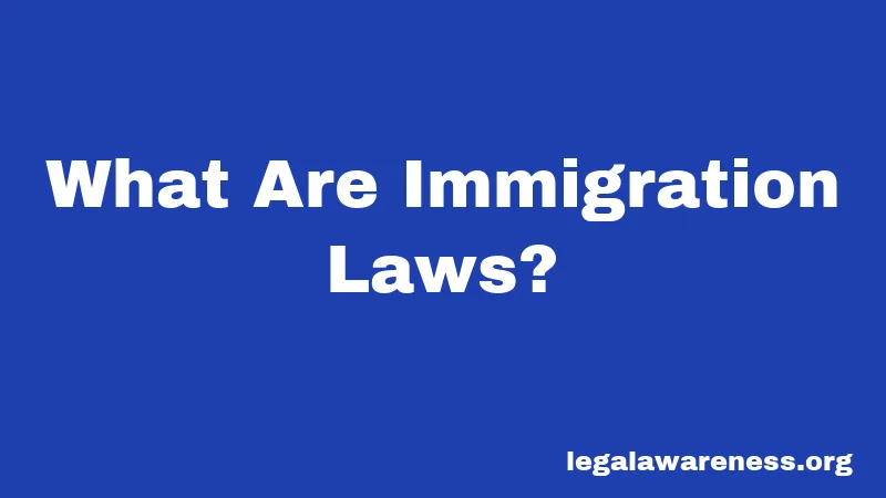 What Are Immigration Laws?