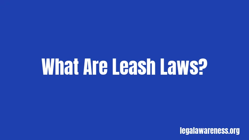 What Are Leash Laws?