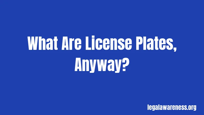 What Are License Plates, Anyway?