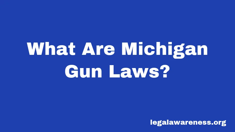 What Are Michigan Gun Laws?