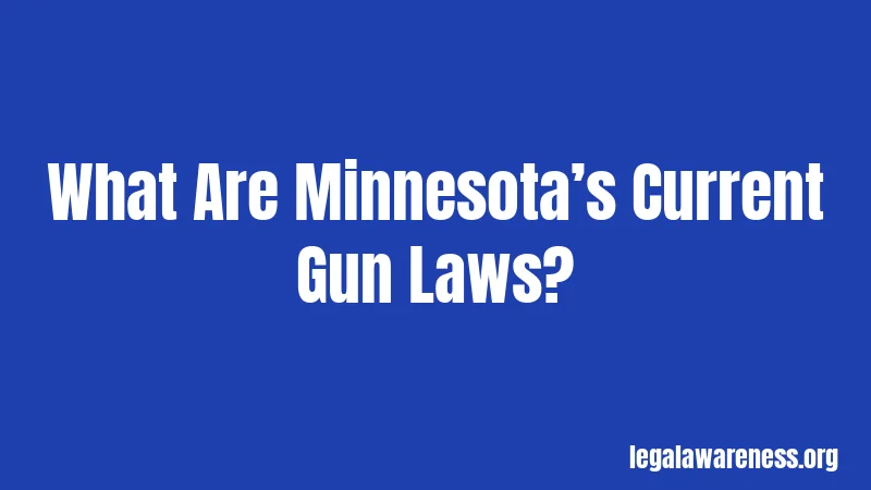 What Are Minnesota’s Current Gun Laws?