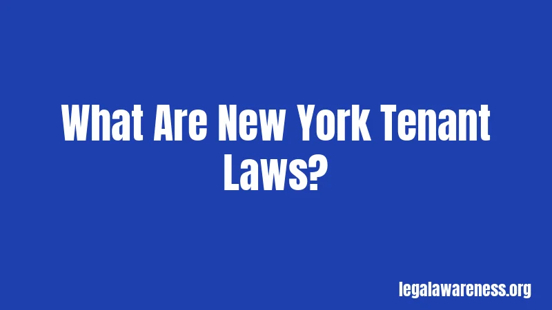 What Are New York Tenant Laws?
