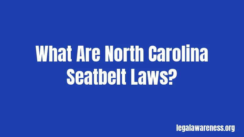What Are North Carolina Seatbelt Laws?