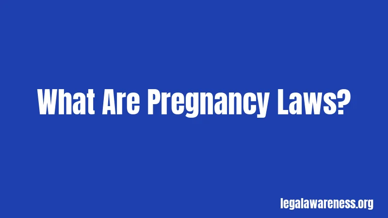 What Are Pregnancy Laws?