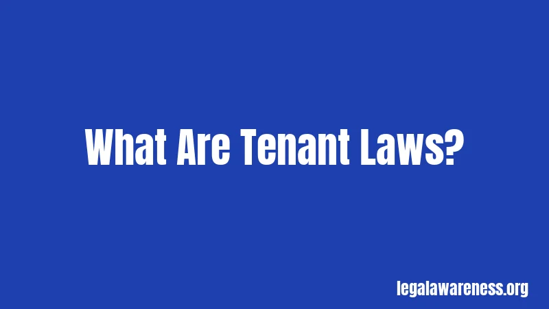 What Are Tenant Laws?