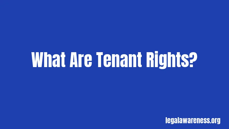 What Are Tenant Rights?