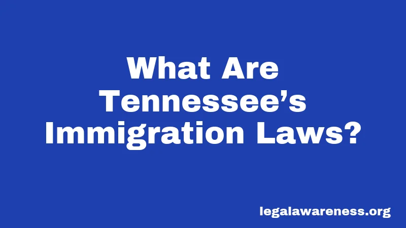 What Are Tennessee’s Immigration Laws?