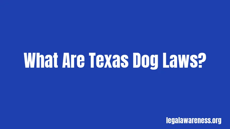 What Are Texas Dog Laws?